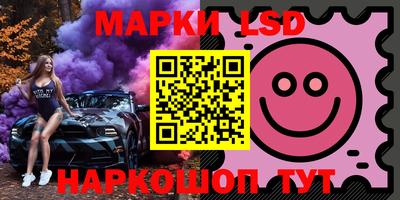 индика Камышлов