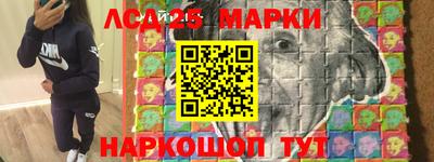 индика Камышлов