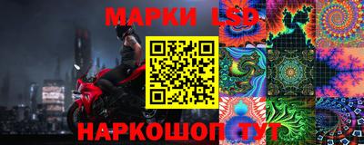 индика Камышлов