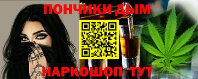 индика Камышлов