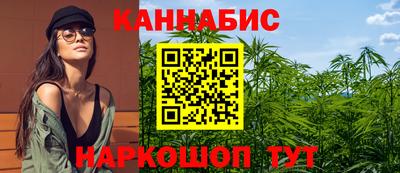индика Камышлов