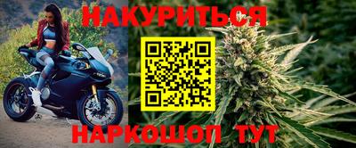 прущие грибы Канаш