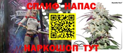 прущие грибы Канаш