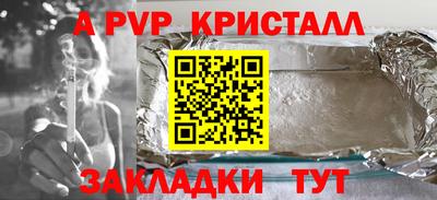 индика Камышлов