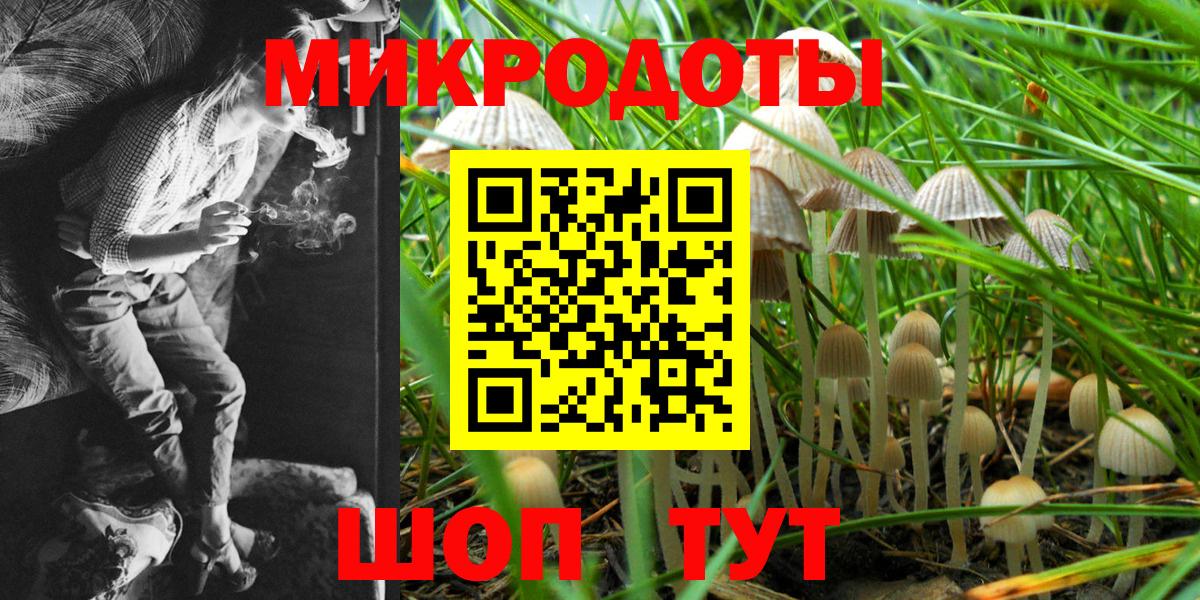 Галлюциногенные грибы Cubensis  Вход с VPN  Лянтор 