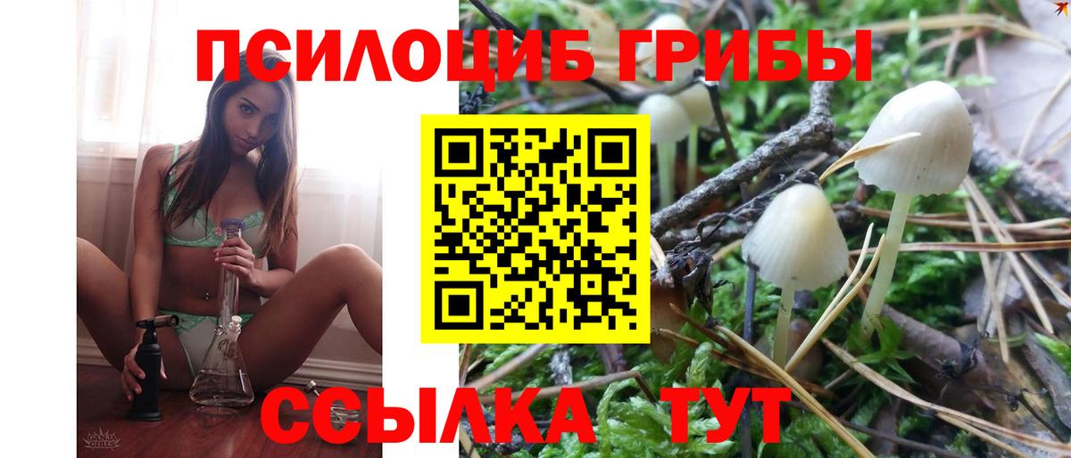 Псилоцибиновые грибы ЛСД Лянтор